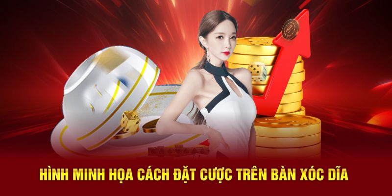 Hình minh họa cách đặt cược trên bàn xóc dĩa